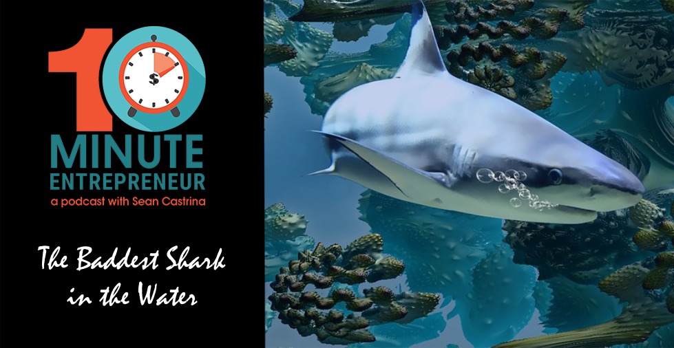 Be the Baddest Shark In the Water